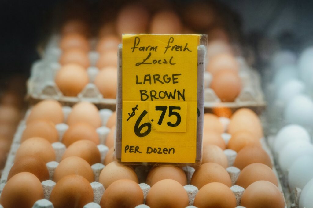 Deluxe Organic Free-Range Nest Eggs (50-pack)